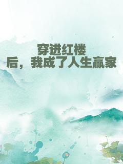 穿进红楼后，我成了人生赢家
