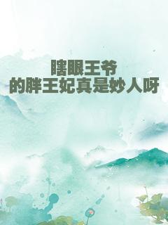 瞎眼王爷的胖王妃真是妙人呀