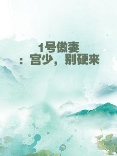 1号傲妻：宫少，别硬来