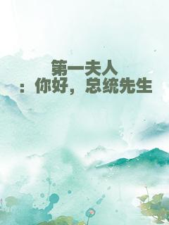 第一夫人：你好，总统先生