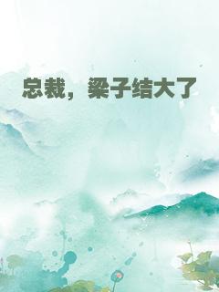 总裁，梁子结大了