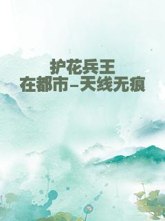 护花兵王在都市-天线无痕