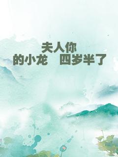 夫人你的小龙崽四岁半了