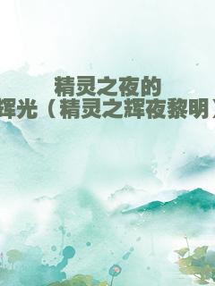 精灵之夜的辉光（精灵之辉夜黎明）