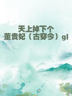 天上掉下个董贵妃（古穿今）gl