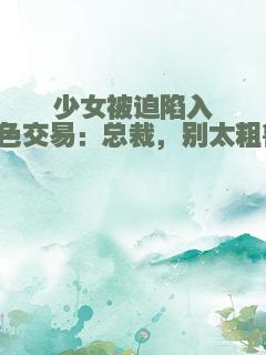 少女被迫陷入权色交易：总裁，别太粗鲁！