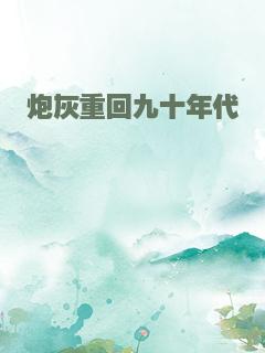 炮灰重回九十年代