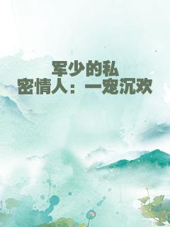 军少的私密情人：一宠沉欢