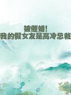被催婚！我的假女友是高冷总裁