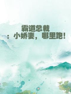 霸道总裁：小娇妻，哪里跑！