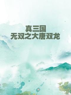 真三国无双之大唐双龙