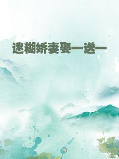 迷糊娇妻娶一送一