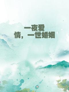 一夜爱情，一世婚姻