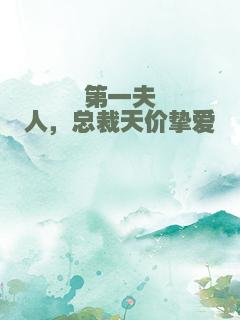 第一夫人，总裁天价挚爱