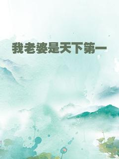 我老婆是天下第一