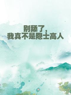 别舔了，我真不是隐士高人
