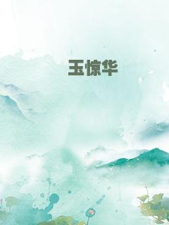 璞玉惊华