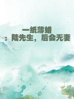 一纸薄婚：陆先生，后会无妻