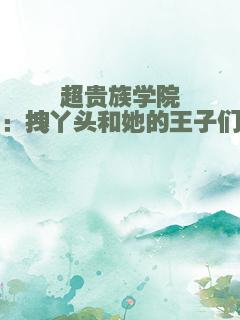 超贵族学院：拽丫头和她的王子们