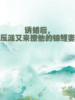 诱婚后，反派又来撩他的锦鲤妻