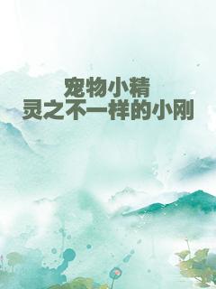 宠物小精灵之不一样的小刚