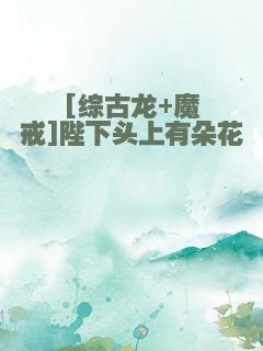 [综古龙+魔戒]陛下头上有朵花
