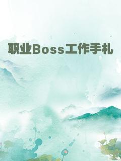 职业Boss工作手札
