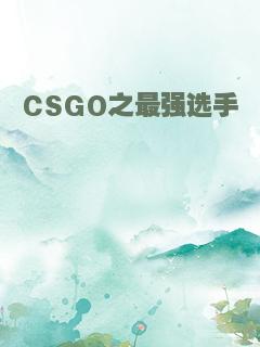 CSGO之最强选手