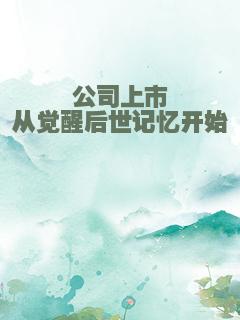 公司上市从觉醒后世记忆开始
