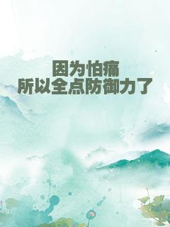 因为怕痛所以全点防御力了