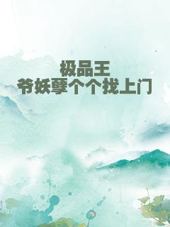 极品王爷妖孽个个找上门