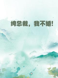 纨绔总裁，我不婚！