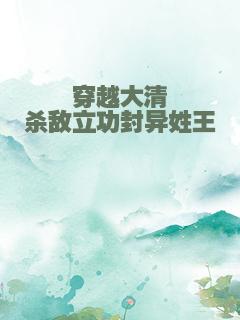 穿越大清杀敌立功封异姓王