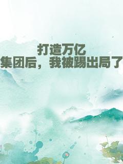 打造万亿集团后，我被踢出局了