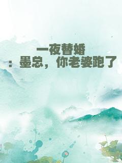 一夜替婚：墨总，你老婆跑了