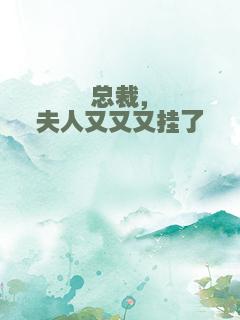 总裁，夫人又又又挂了