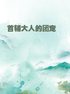 首辅大人的团宠崽崽