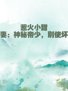 惹火小甜妻：神秘帝少，别使坏