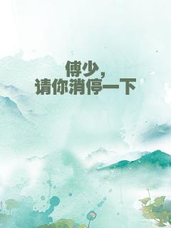 傅少，请你消停一下