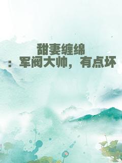 甜妻缠绵：军阀大帅，有点坏