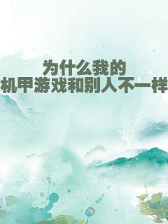 为什么我的机甲游戏和别人不一样