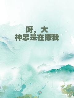 呀，大神总是在撩我