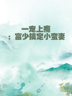 一宠上瘾：富少搞定小蛮妻