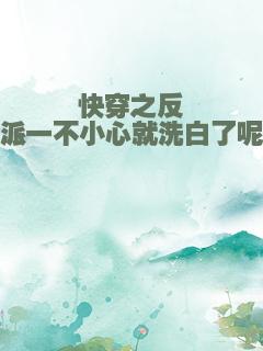 快穿之反派一不小心就洗白了呢