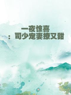 一夜惊喜：司少宠妻撩又甜