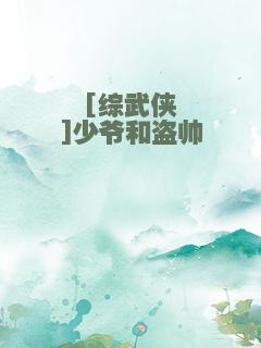 [综武侠]少爷和盗帅