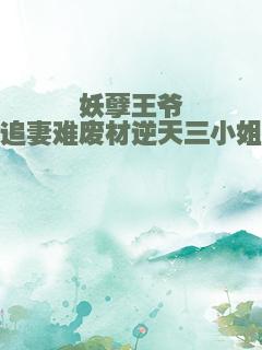 妖孽王爷追妻难废材逆天三小姐