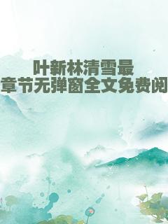 叶新林清雪最新章节无弹窗全文免费阅读