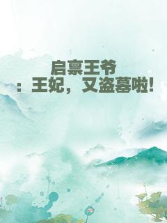 启禀王爷：王妃，又盗墓啦！