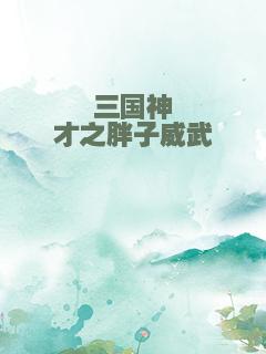 三国神才之胖子威武